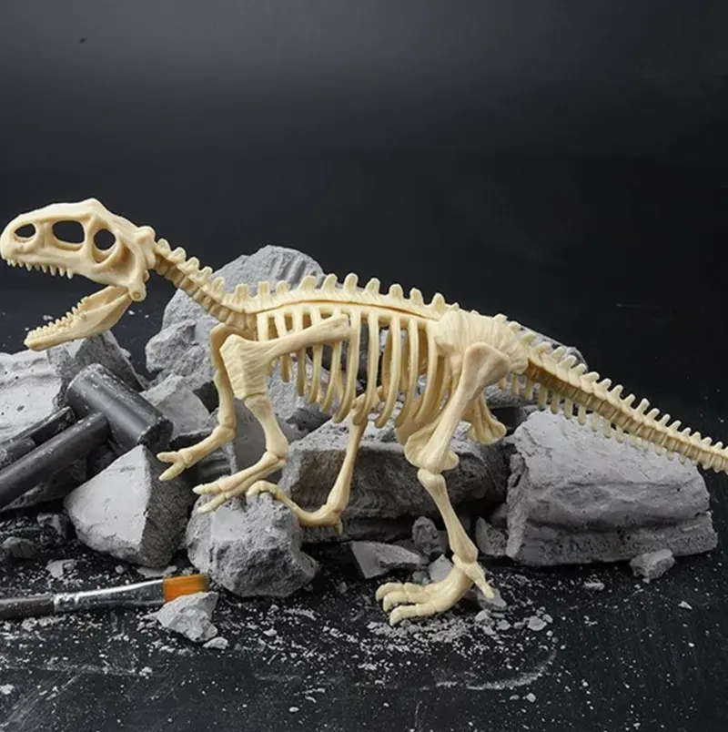 Kit DAM/4M enfant Archéologie Dinosaure Tyrannosaurus Rex - ref